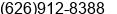 Phone number of Ms. Lily Wu at CA
